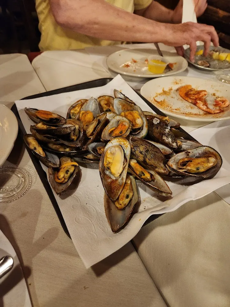 New Zealand Mussels